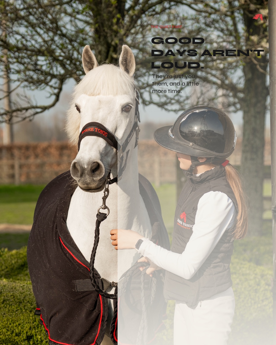 HorseTonic Quiet days social post