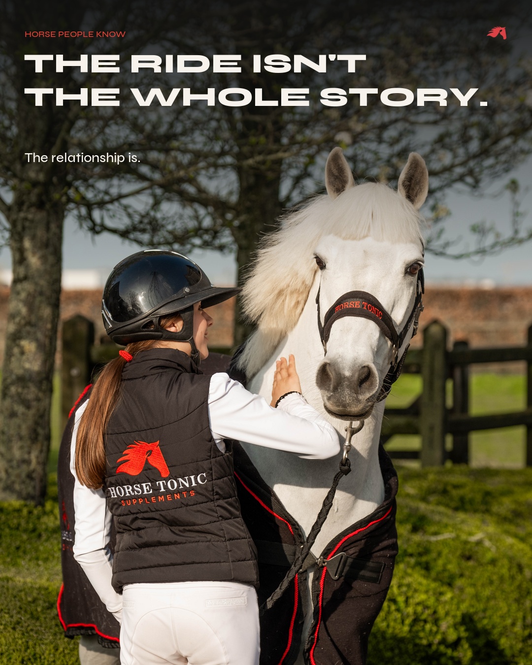 HorseTonic The relationship social post
