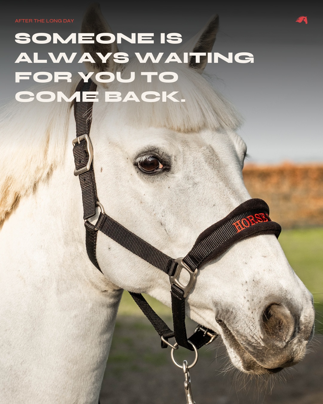 HorseTonic Waiting for you social post