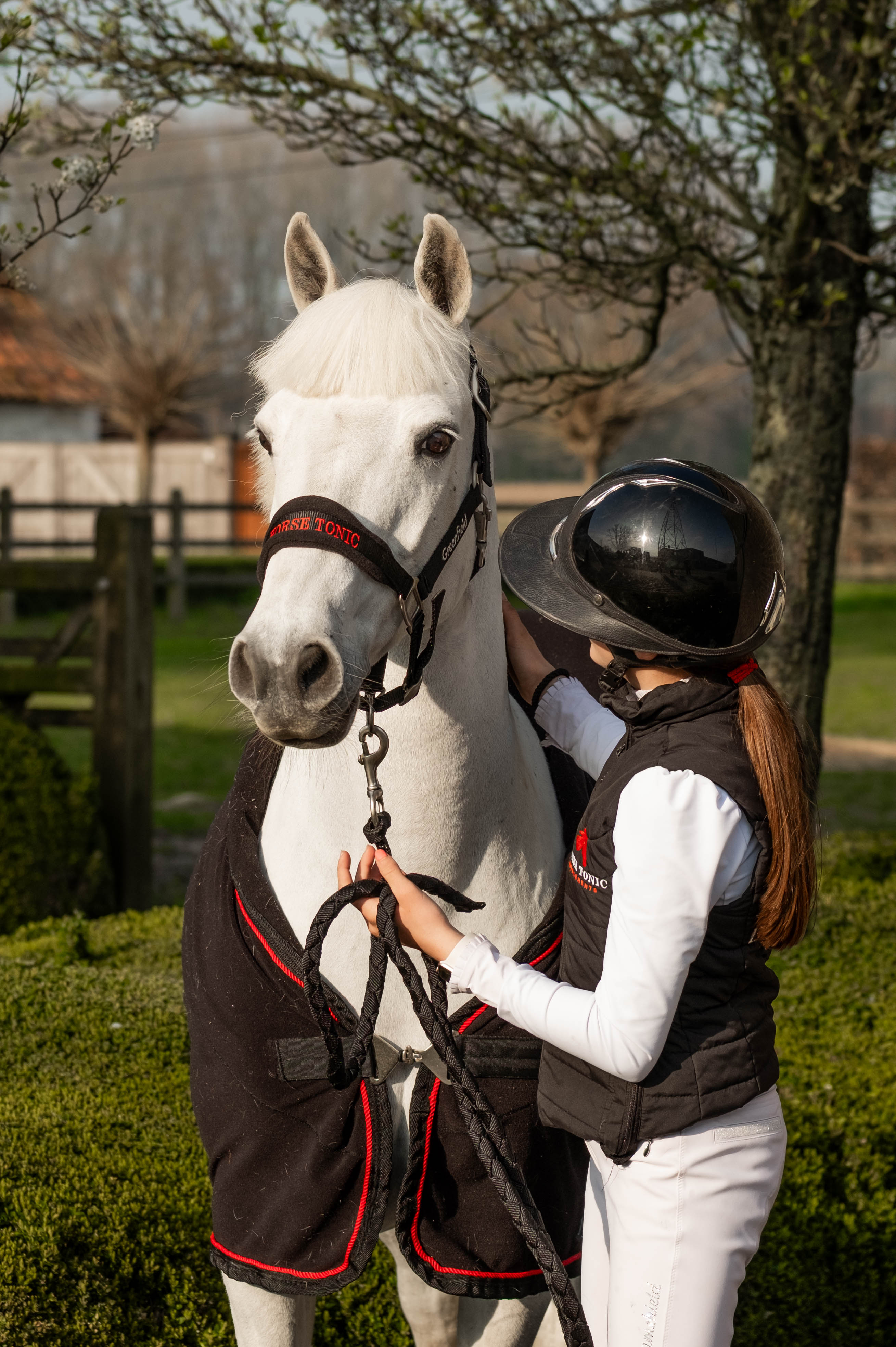 review-gallery-tails-2026-07-14-001 calm stable