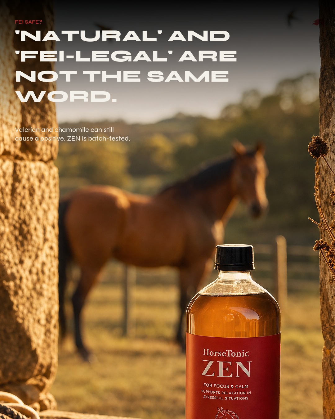 FEI-safe ZEN